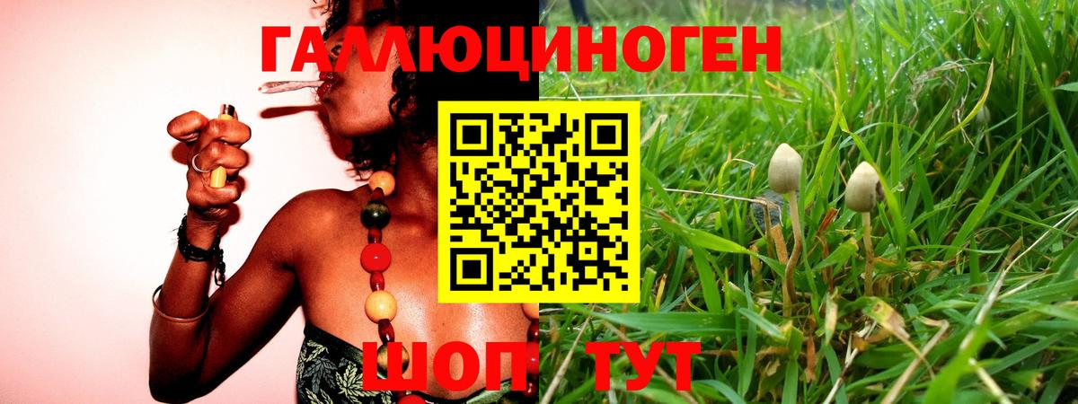 Воткинск  Псилоцибиновые грибы GOLDEN TEACHER  Галлюциногенные грибы Psilocybe  Вход с VPN 